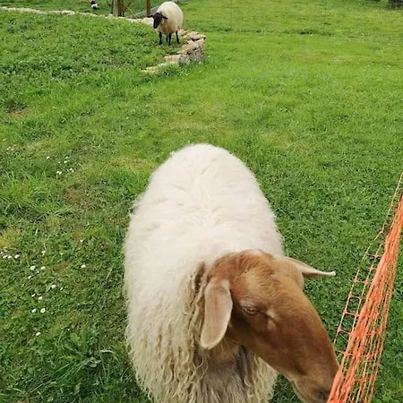 Apartment El Pajar, Rustic Apt. & Gardens With Sheep & Hens *