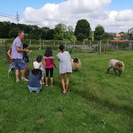 El Pajar, Rustic Apt. & Gardens With Sheep & Hens *