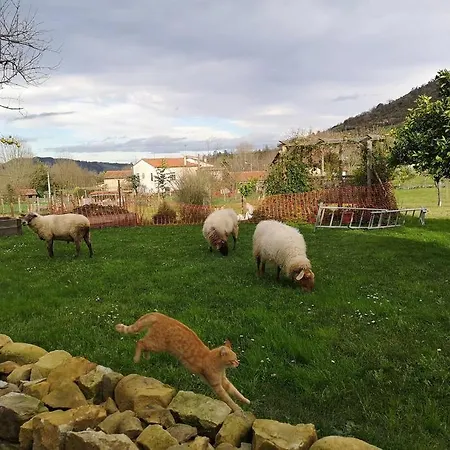 El Pajar, Rustic Apt. & Gardens With Sheep & Hens Apartment *
