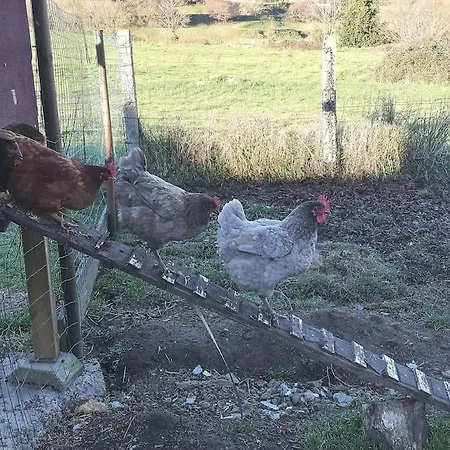 El Pajar, Rustic Apt. & Gardens With Sheep & Hens Apartment Lloreda (Cantabria)
